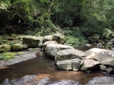 15 One of the crossings of Canungra Creek