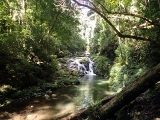 11 Canungra Creek