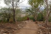 Walking up the last section of the Cudtheringa Track after it meets the Goat Track