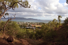 Magnetic Island through the trees