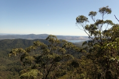 When you raise your head from taking in the small marvels of the Australian bush, the spectacular panoramic view of the dam that gives the trail its name adds a whole new dimension