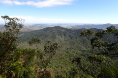 Listening to the peal of the Bellbirds rising from the canopy below