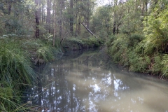 The trail winds back down, passing calm waterholes and crossing the 4WD tracks